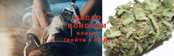 таблы Болотное