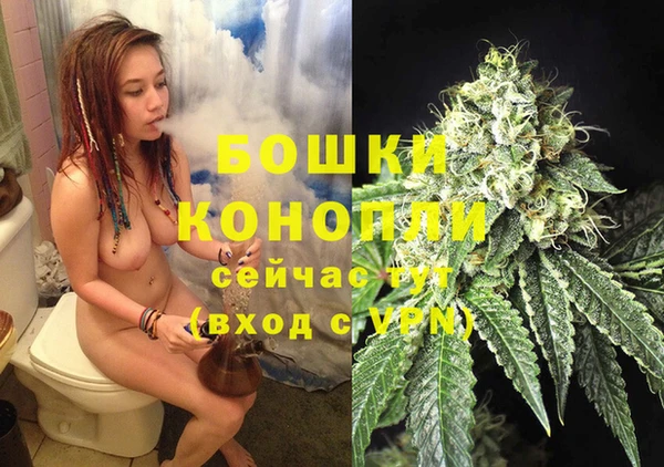 таблы Болотное