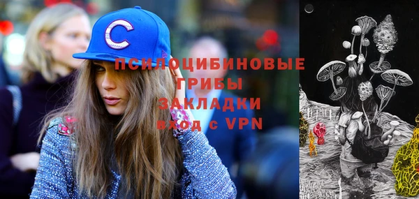МДМА Бикин
