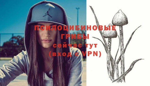 apvp Болохово